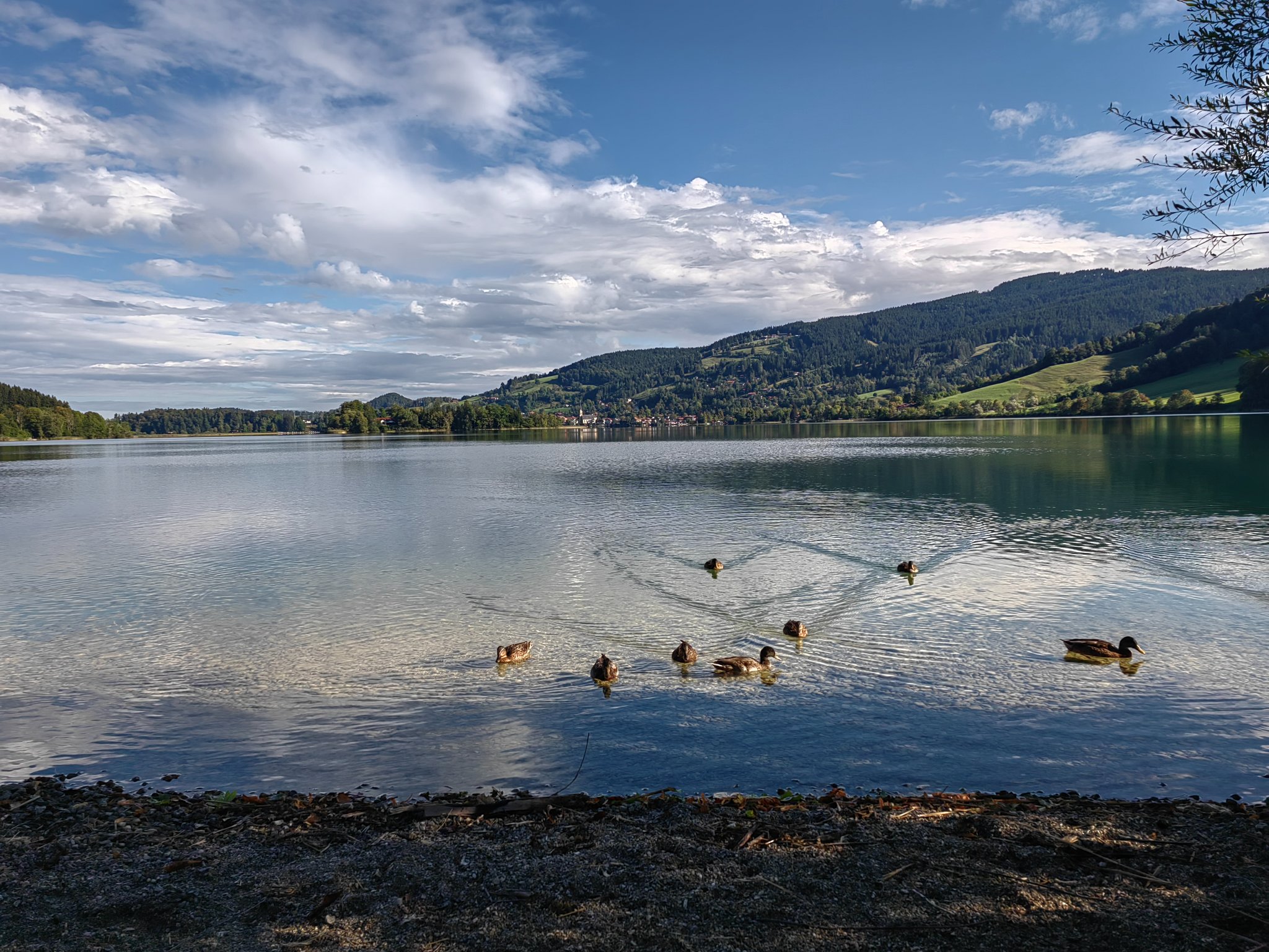 Schliersee Moment