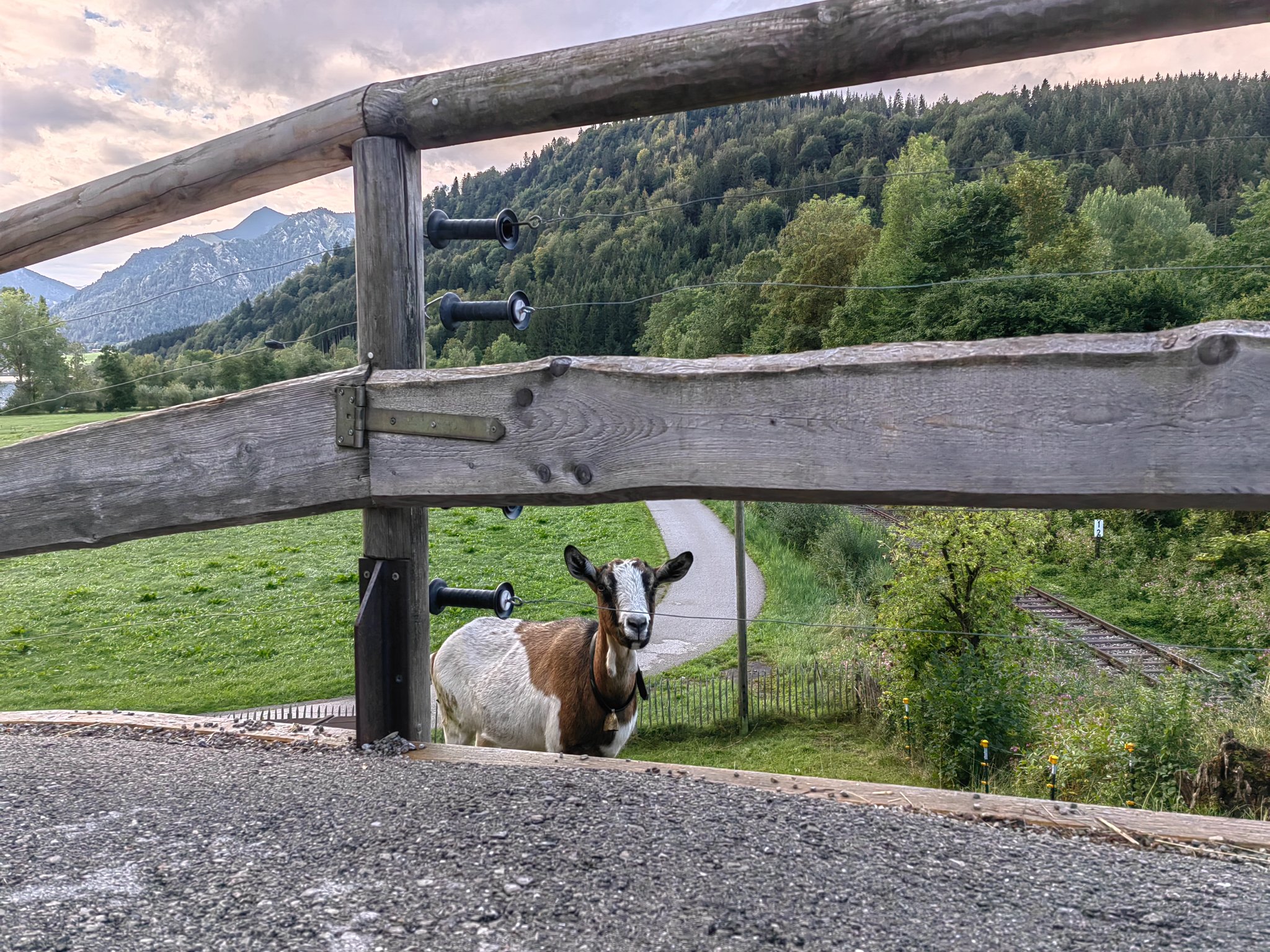 Schliersee Moment